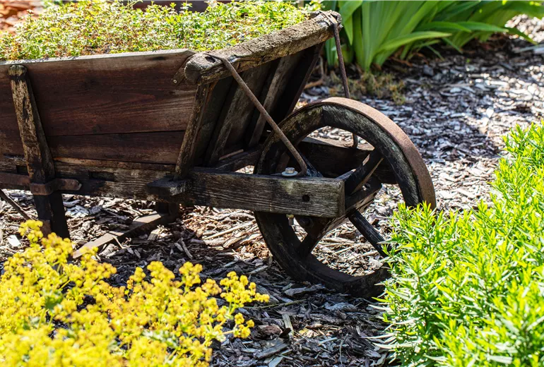 Gartendekoration - Holzwagen