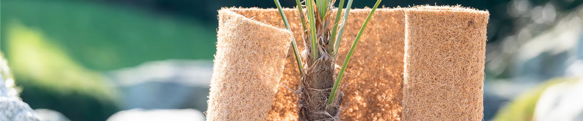Überwinterung - Kokosmatte