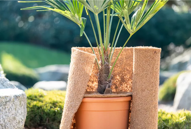 Überwinterung - Kokosmatte