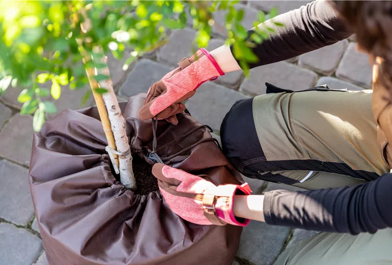Überwinterung - Thermo Topfschutz