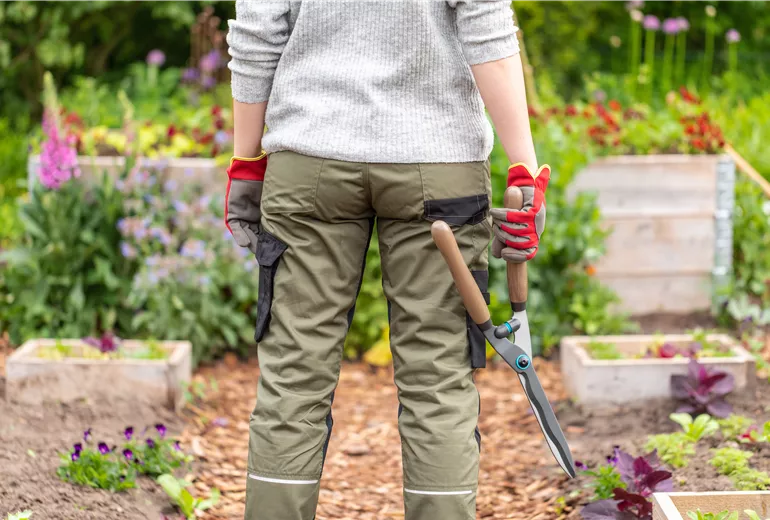 Gartengeräte - Arbeit mit Heckenschere Gartengeräte - Arbeit mit Heckenschere