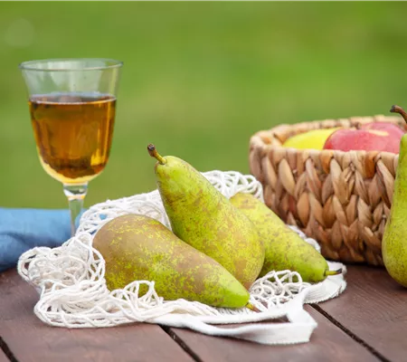 Birnen aus dem eigenen Garten genießen