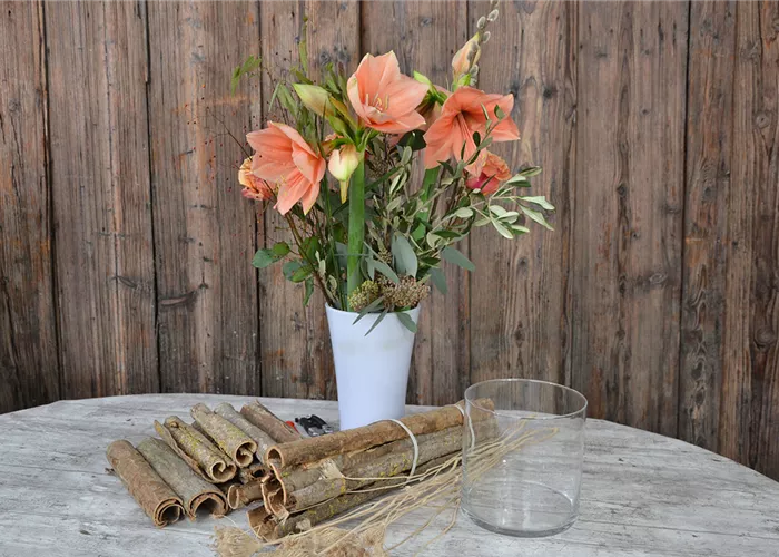 Arrangement mit Amaryllis
