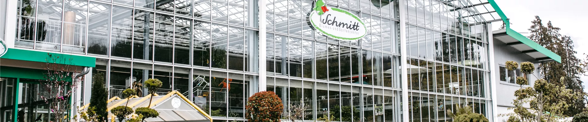 Schmitt-Impression-1