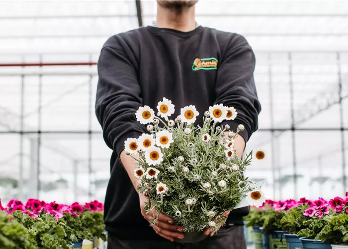 Ausbildung als Gärtner (m/w/d) im Zierpflanzenbau Ausbildung als Gärtner (m/w/d) im Zierpflanzenbau