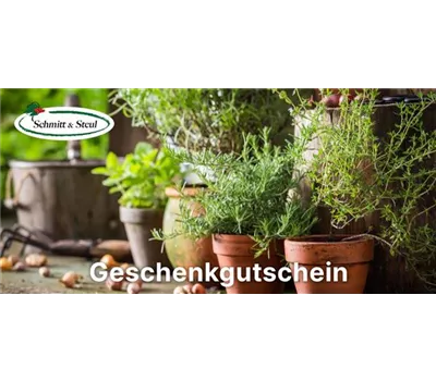 Geschenk-Gutschein