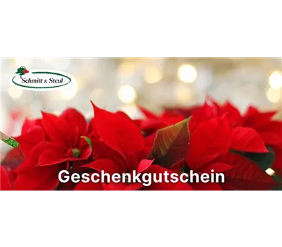 Geschenk-Gutschein