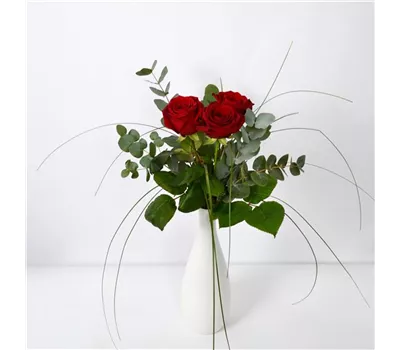 Rote Rose mit Grün Rote Rose mit Grün