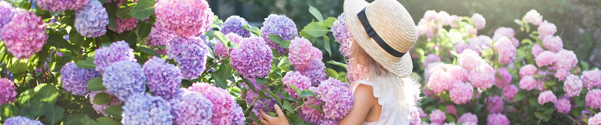 AdobeStock_225836661-0-714-5616-1203 AdobeStock_225836661-0-714-5616-1203