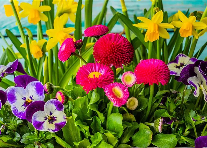 5. März: Floristik-Workshop Frühlingsarrangements