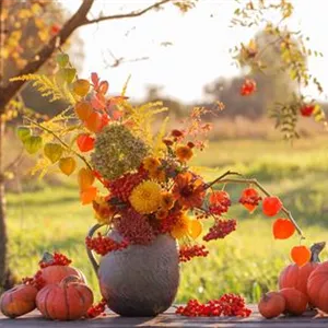 Herbstzeit = Früchtezeit Herbstzeit = Früchtezeit