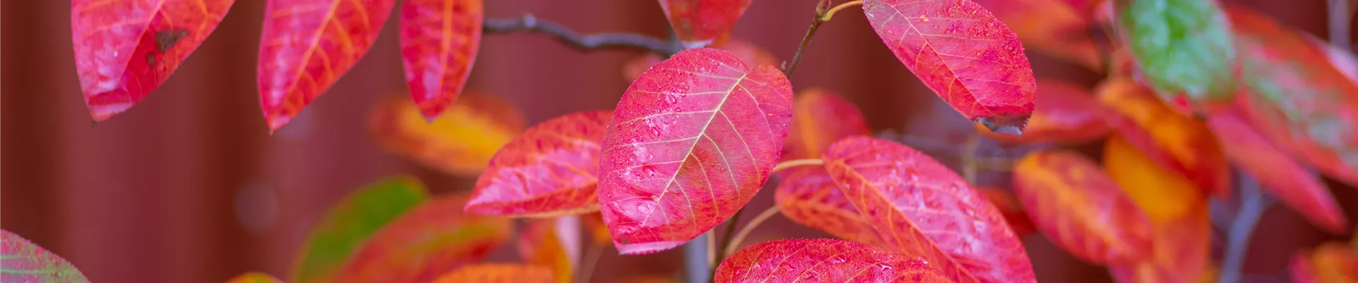 AdobeStock_449419436