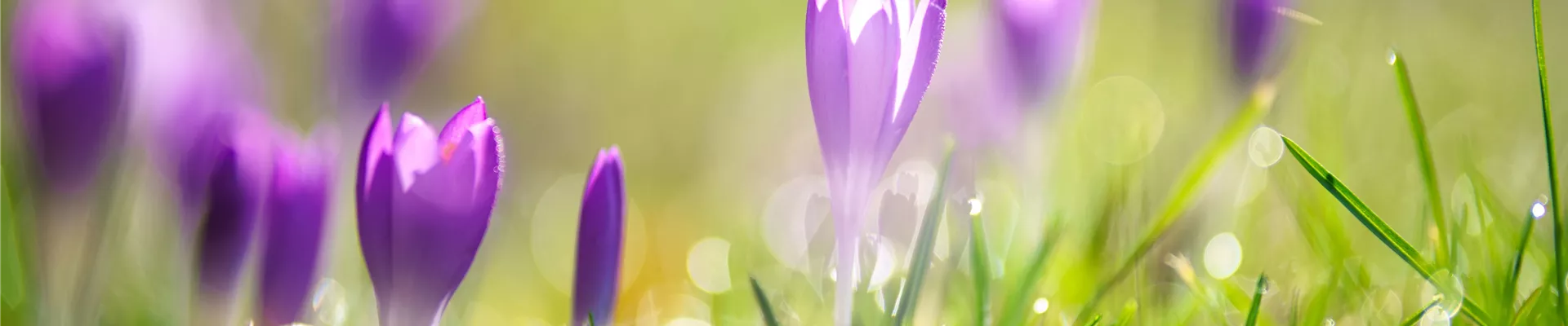 AdobeStock_486833425-0-1228-7337-1572