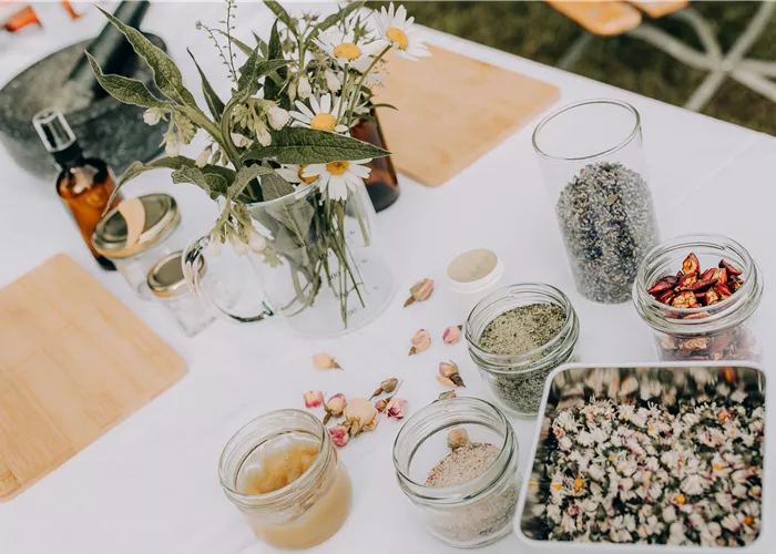 Italienische Kräuterkraft! Ihr Abend voller Duft, Wissen & Selbstgemachtem
