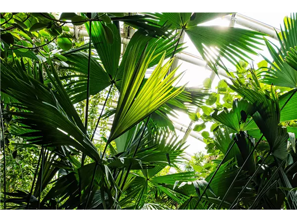 Verkaufsgärtner (m/w/d)