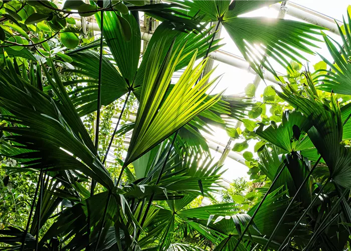 Verkaufsgärtner (m/w/d)