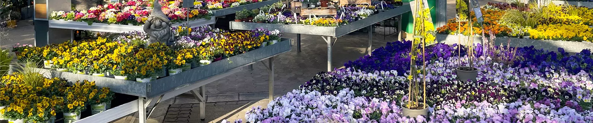 Schmitt-Freiland-0-1640-3952-846