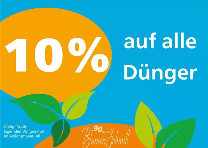 Stark durch den Sommer