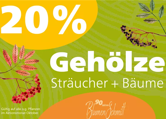Jubiläumsaktion im Oktober